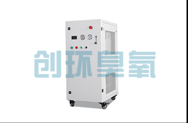 吐鲁番工厂化养鲈必看:2026年臭氧发生器替代传统消毒的最新方案