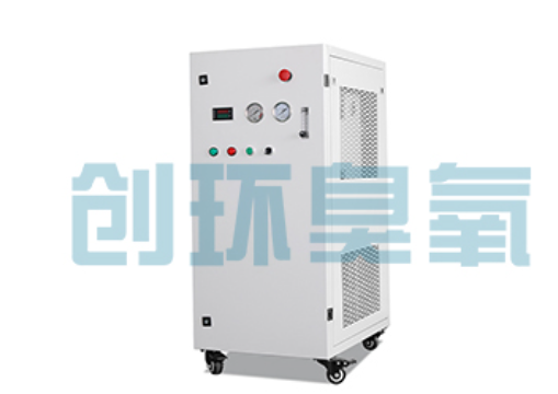 吐鲁番石斑鱼养殖水质调控完整指南:臭氧发生器配置与操作步骤