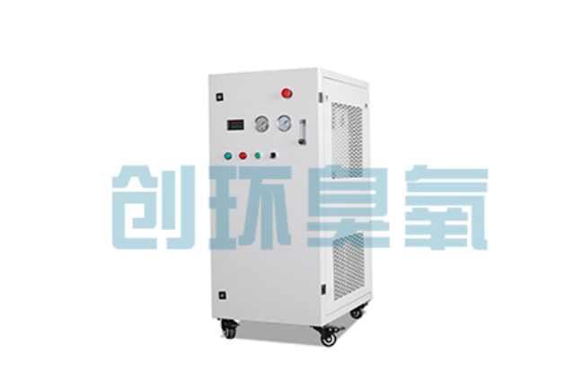 吐鲁番比传统换水更高效?臭氧发生器在石斑鱼养殖中的水质净化原理解析